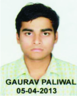GAURAV PALIWAL